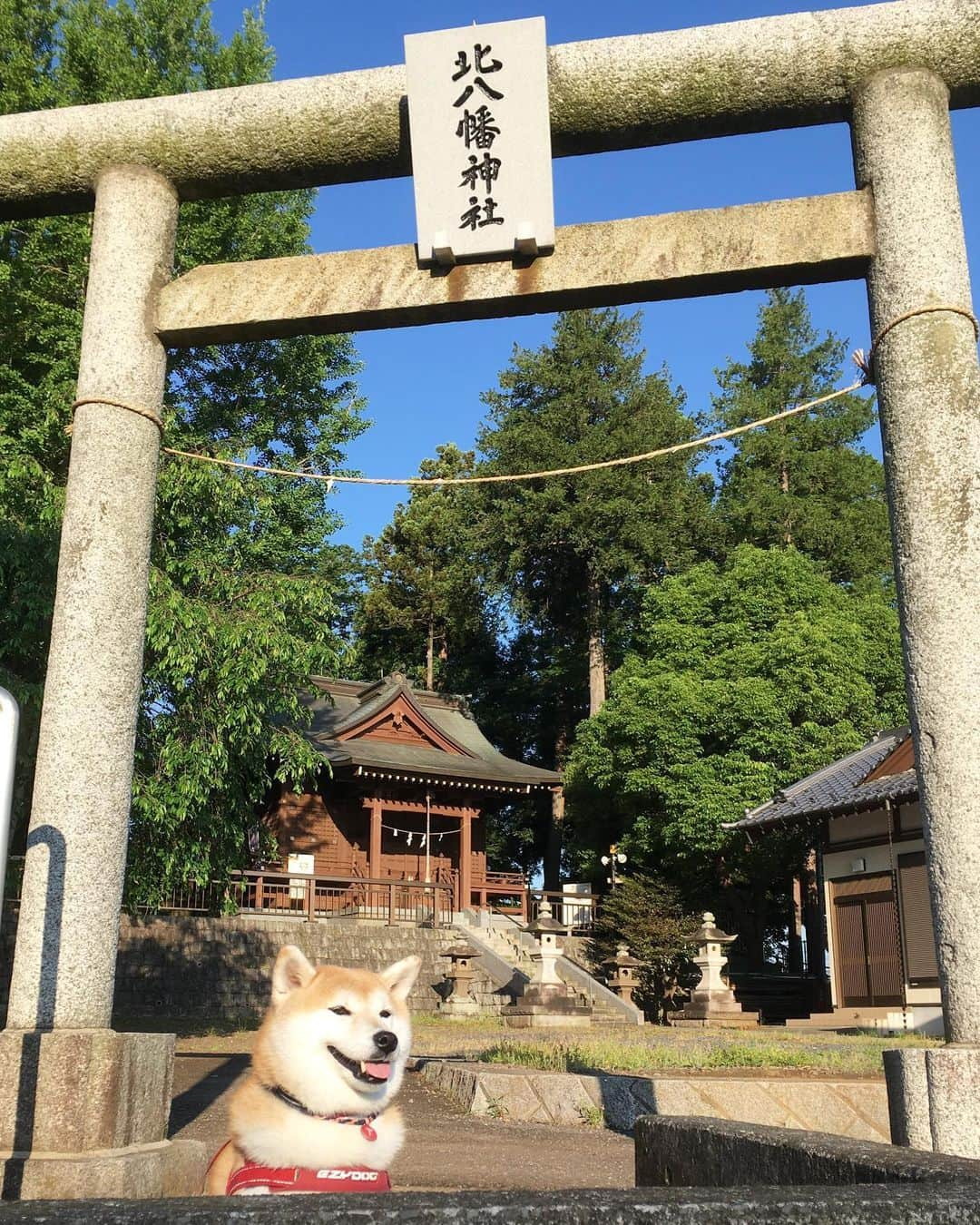 てんパパのインスタグラム