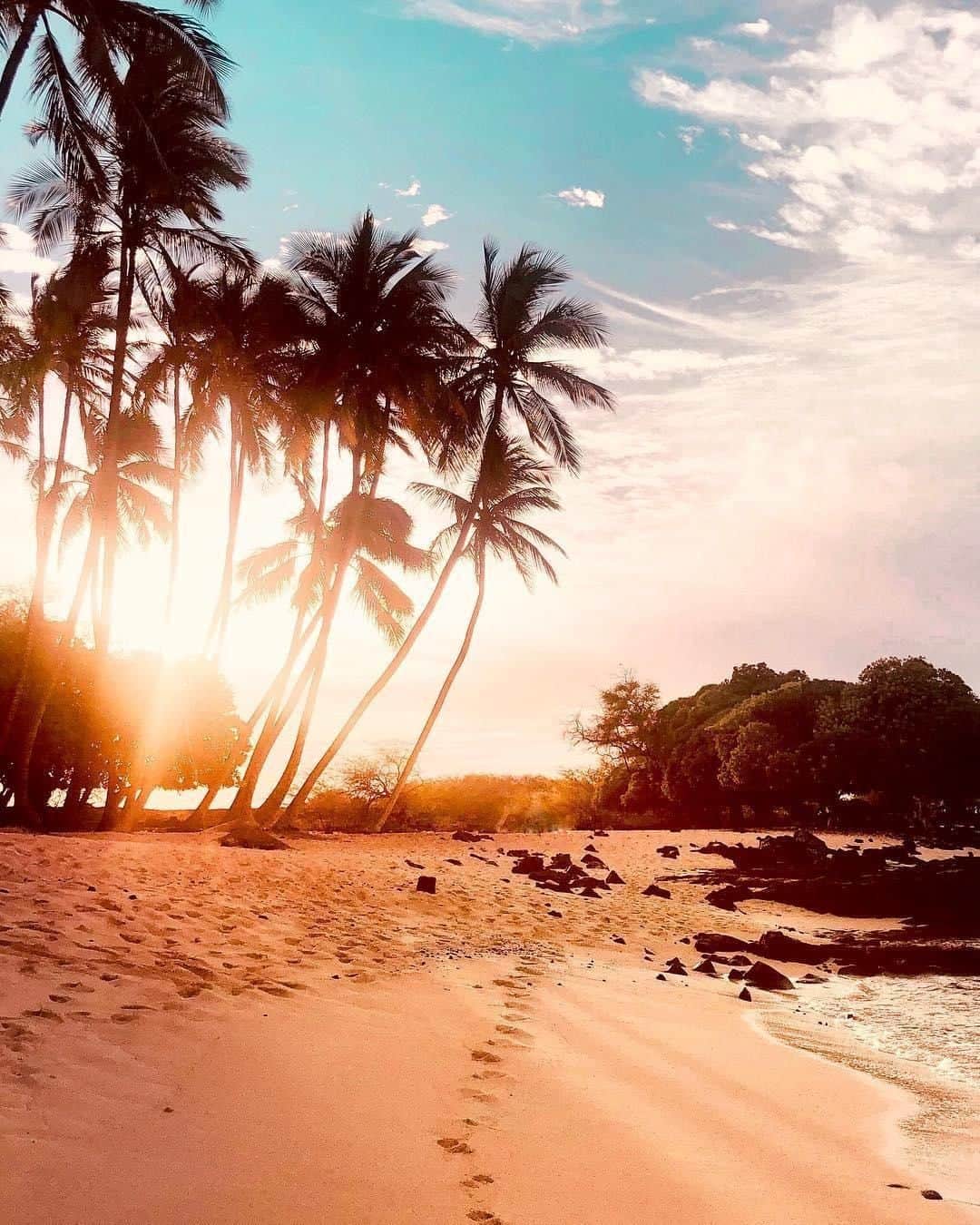 ハワイアン航空さんのインスタグラム写真 - (ハワイアン航空Instagram)「Those light rays got us feeling some sort of way. 😍 ⠀ ⠀ Dreaming of early mornings, chasing sunrises and watching as the sun awakes for a new day.💜 #AHuiHou • Until We Meet Again⠀ ⠀ 📷: @hi.demiii」5月29日 7時00分 - hawaiianairlines