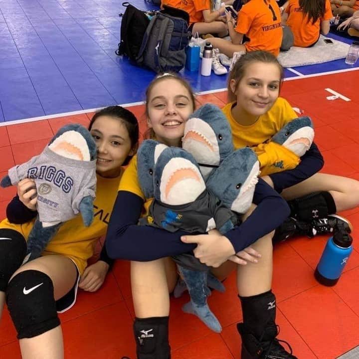 USA Volleyballさんのインスタグラム写真 - (USA VolleyballInstagram)「Show off 𝓎𝑜𝓊𝓇 𝓈𝓉𝓎𝓁𝑒 in the next issue of Your Court!  Does your team have a special vibe? Do you love food, traveling, art... what makes your style unique? Send photos to digitalmedia@usav.org. Include your name, USAV club and describe the photo, and you may get featured in Your Court, the digital magazine of USA Volleyball! 🤩」5月29日 7時01分 - usavolleyball