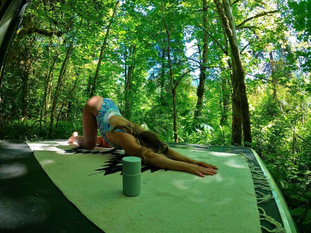 ジェイミー・アンダーソンのインスタグラム：「Give thanks 🙏 I love the trees, fresh air and the new @doterra portable diffuser for our home away from home ✨✨✨ Makes our trailer smell so good and helps keep the misquotes away 🙌 @doterra #performanceadvocate #forestbathing」