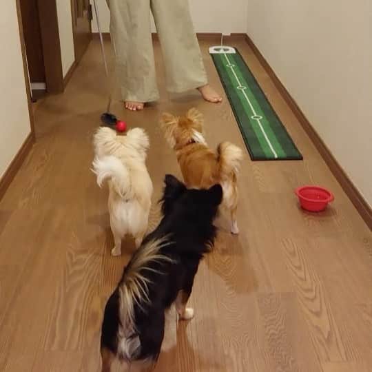 味岡ちえりのインスタグラム