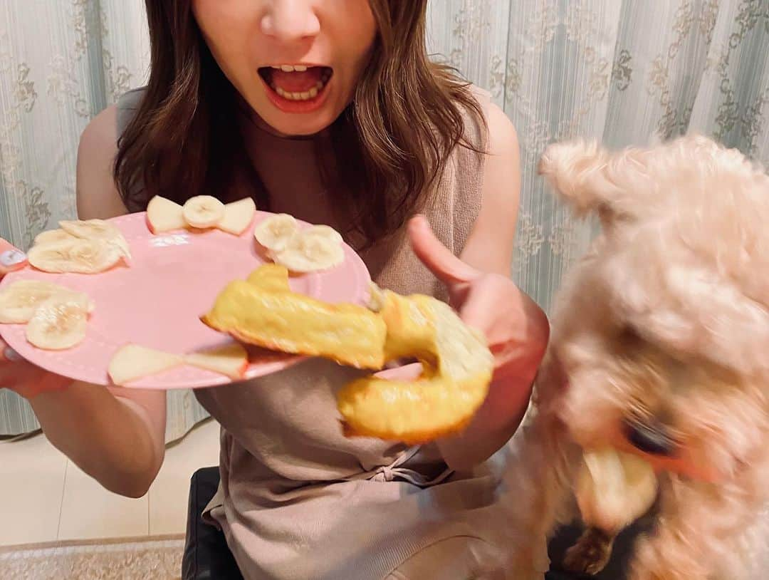 TONEAYUさんのインスタグラム写真 - (TONEAYUInstagram)「㊗️ぷー吉、5歳🎂🐶🍥﻿ ﻿ あっという間の5歳💖😂💖﻿ ﻿ 今年はいい子になりますように...👏🏻🤣﻿ ﻿ 元気に長生きしてね😼✨﻿ ﻿ 〝らーめん頭〟のぷきちさん﻿ 幸楽苑オフィシャルプレスドックに﻿ なれるように頑張ってね🐶🍥🤣﻿ ﻿ 🍥 @pookichi528 🍥﻿ ﻿ #暴れん坊将軍 #かわいい弟犬 #ぷー吉﻿ #ウェスプー﻿ #ウェスティー﻿ #トイプー﻿ #mix﻿ #dog﻿ #happybirthday﻿ #ケーキ一瞬にして無残な姿に﻿」5月28日 23時26分 - toneayu