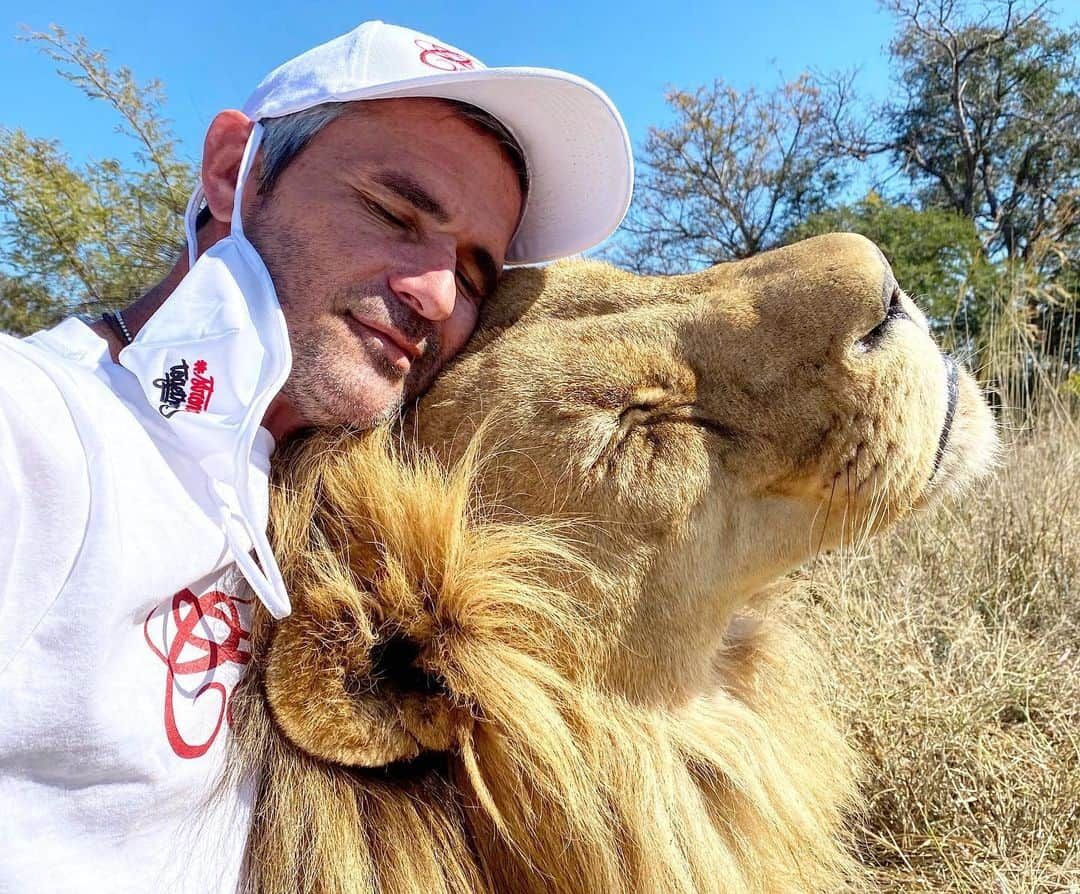 Kevin Richardson LionWhisperer さんのインスタグラム写真 - (Kevin Richardson LionWhisperer Instagram)「I had to laugh! Note to self, don’t try say hi to Vayetse with a face mask attached wearing the @pcmfsouthafrica merch. trying to do a piece to camera. He looked at me as if to say, ‘who on earth is this weirdo?’ Only when I hung the face mask 😷 from my one ear did the light💡 go on! I could see his brain go, ‘ah it’s Kevin!’ Then it was head bumps and chin scratches as usual. If you’d like to support this initiative the link is in my bio. I’m happy to be a part of it. #strongtogether  #awareness #raisingfundsforcharity」5月28日 23時22分 - lionwhisperersa