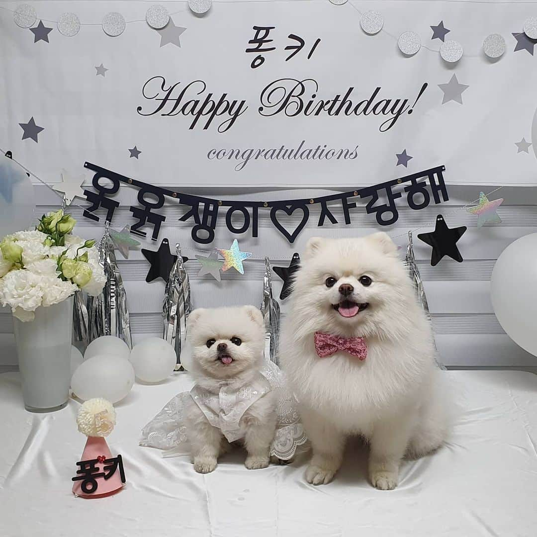 thesoy_yoonsoさんのインスタグラム写真 - (thesoy_yoonsoInstagram)「. 퐁키 생일 축하해주셔서 넘 감사드려요♡ 축하 많이 받아서 100년 거뜬할 것 같아용ㅎㅎㅎ . 라이브 함께해 주신분들께도 넘 감사해요 전쟁같은 라이브였ㅋㅋㅋㅋ 하 이게 무슨일인지ㅋㅋㅋㅋ . 감사합니당♡♡♡」5月28日 23時59分 - thesoy_yoonso