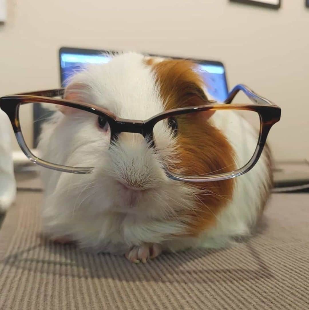 Warby Parkerのインスタグラム：「"These are my blue-light-filtering eyeball assistants!"- Jermaine (📸: @s.medberry)」