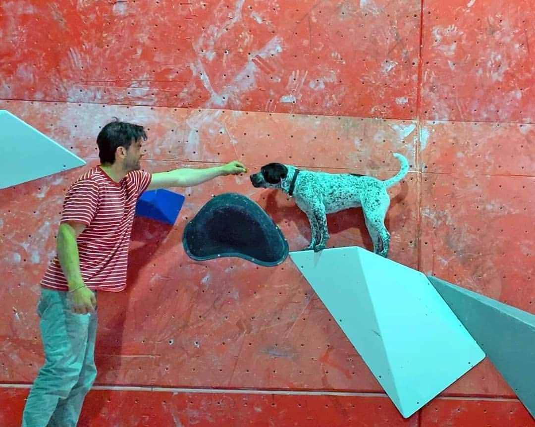 シャーロット・デュリフのインスタグラム：「Well, Lulu is a promising climber 🐶🤔 . Check out our @coldhousemedia / @epictvclimbing vlog 108 (link in bio) to see our dog Lulu in action on the boulder we set for her! I highly recommend watching over and over again what happens between 1:17 and 1:25 !!! . @mountainhardwear @petzl_official @eb_climbing @volxholds @luxov_connect」