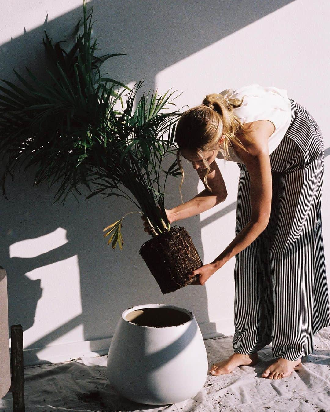 サンヌ・ヴロートさんのインスタグラム写真 - (サンヌ・ヴロートInstagram)「Has anyone else picked up a new hobby during quarantine?💪🏼 🌱 Adding more and more plants to my home gives me so much joy!」5月29日 1時54分 - sannevloet