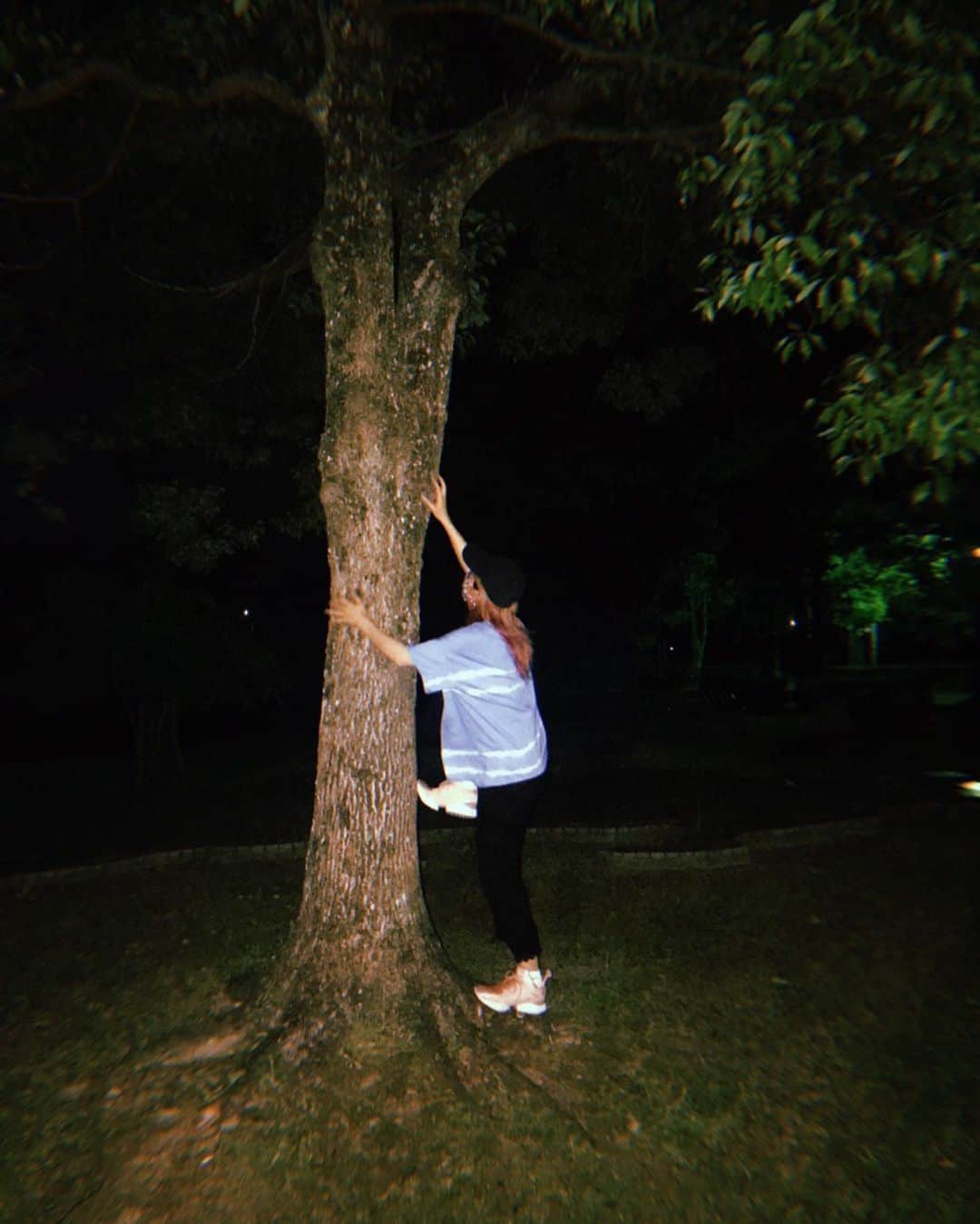 森彩乃さんのインスタグラム写真 - (森彩乃Instagram)「木に登りたがる大人」5月29日 3時14分 - moriayano1119