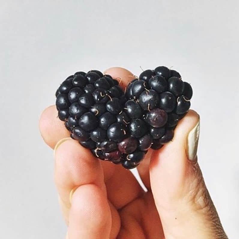 uglyfruitandvegさんのインスタグラム写真 - (uglyfruitandvegInstagram)「‪For the love of blackberries! 💜 Twitter pic by @thekeyofkels #TBT ‬」5月29日 3時05分 - uglyfruitandveg
