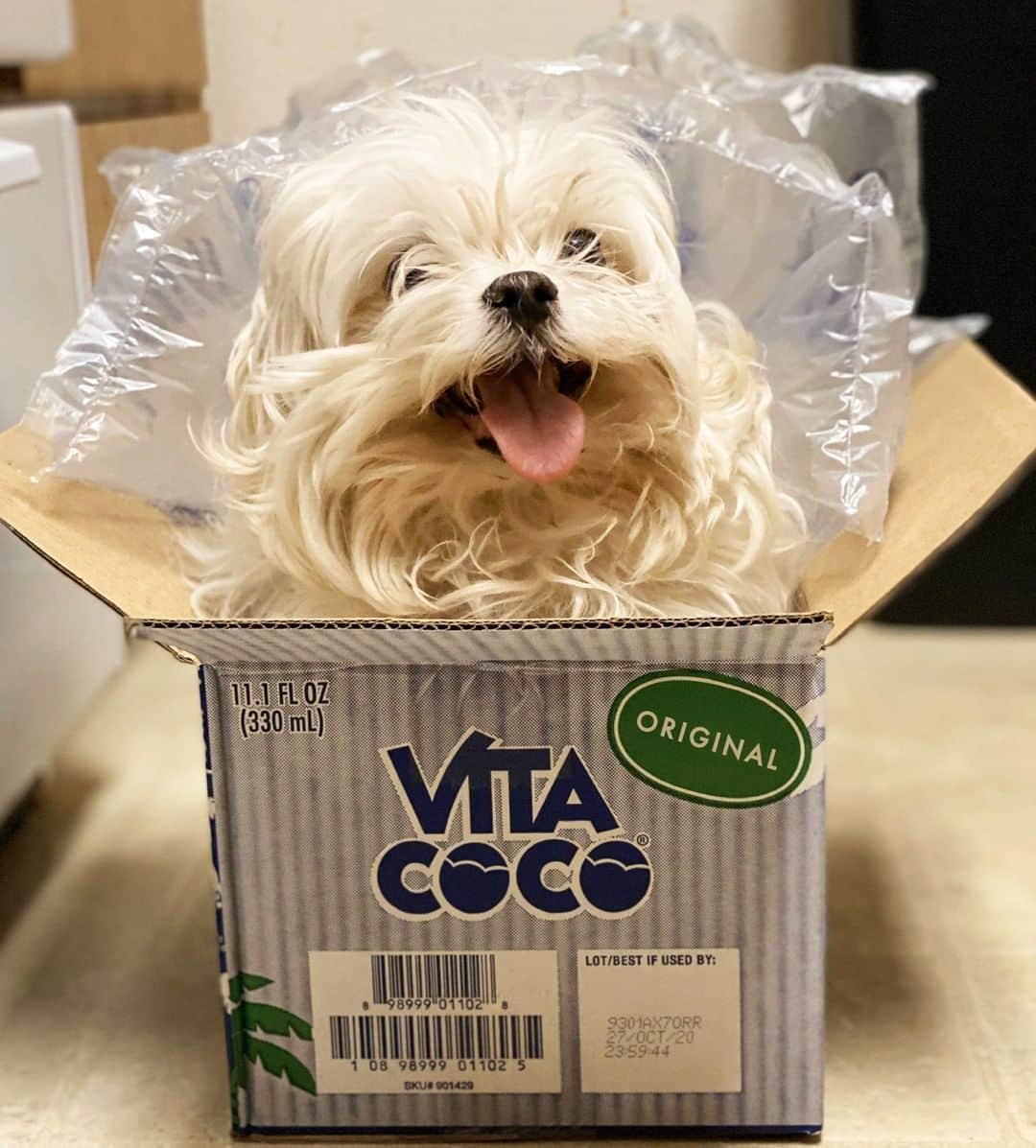 Vita Coco Coconut Waterのインスタグラム：「Me when my online order finally comes in」