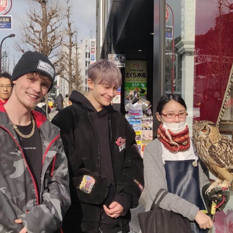 Bars and Melodyさんのインスタグラム写真 - (Bars and MelodyInstagram)「Nothing else to post so here’s an owl 🦉」5月29日 3時18分 - barsandmelody