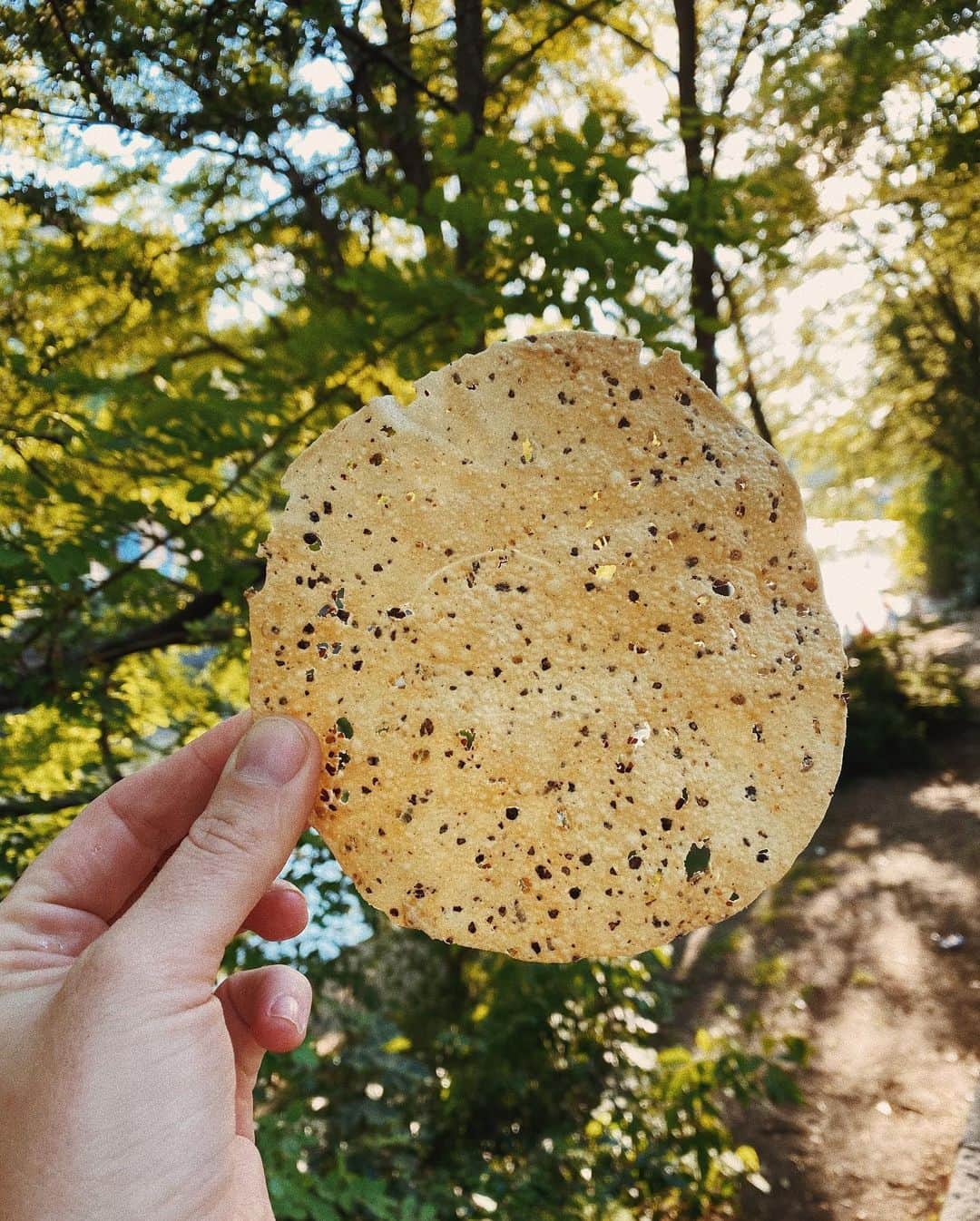 STIL IN BERLINのインスタグラム：「Met the man selling papadam by the Kanal. So lucky.」