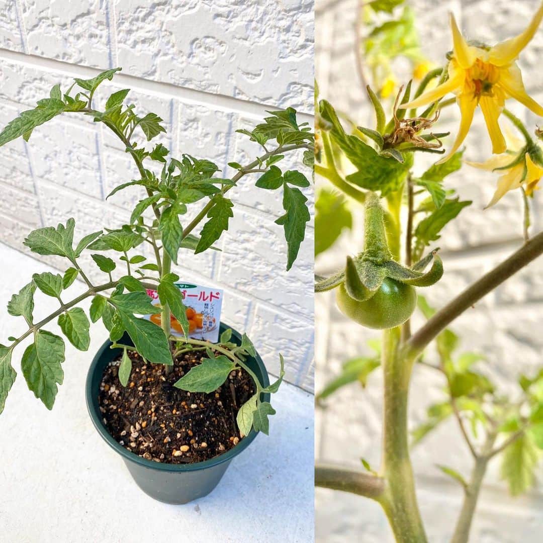 祥吉のグルメインスタ