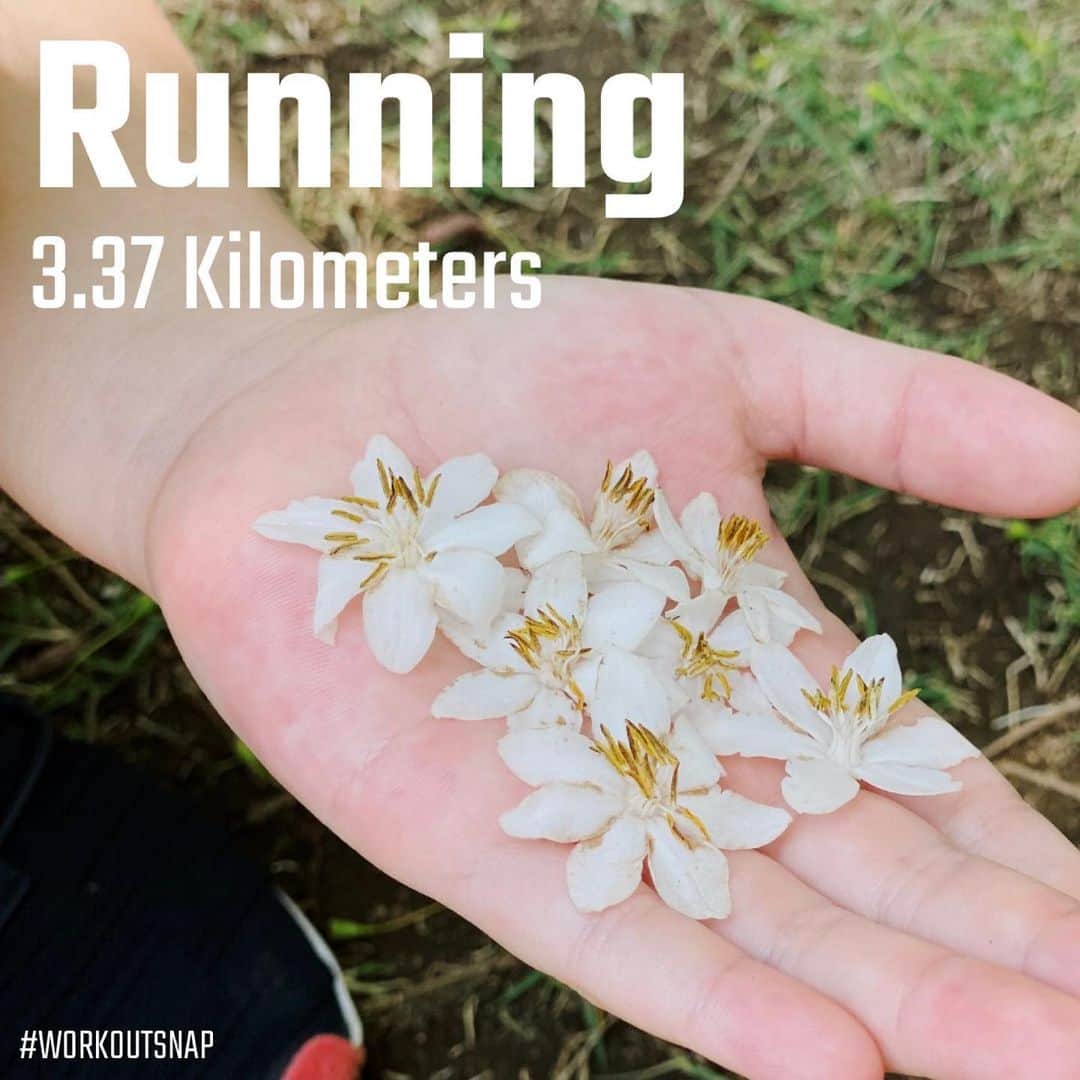 土屋香織さんのインスタグラム写真 - (土屋香織Instagram)「🏃‍♀️. 3.37🅚🅜 𝚛𝚞𝚗 𖤐𖤐𖤐 𝕎𝕚𝕥𝕙 𝕞𝕪 👧🏻 . 次女と走ってバドミントンして🏸 とっても甘ーい香りの #えごのき の花を拾ったよ❁ . me ⇢ 𝚃-𝚜𝚑𝚒𝚛𝚝. @saysky_japan  𝙿𝚊𝚗𝚝𝚜/𝙵𝚊𝚌𝚎 𝚌𝚘𝚟𝚎𝚛.  @mizuno 𝙸𝚗𝚗𝚎𝚛  @millet_jp  𝚂𝚘𝚌𝚔𝚜  @c3fit_jp  𝙸𝚗𝚜𝚘𝚕𝚎  @zamst.jp  𝚂𝚑𝚘𝚎𝚜  @nike . 𝙳𝚊𝚞𝚐𝚑𝚝𝚎𝚛⇢ 𝚃-𝚜𝚑𝚒𝚛𝚝/𝙿𝚊𝚗𝚝𝚜 @stamprunandco  𝚂𝚑𝚘𝚎𝚜  @syunsoku_official . . 毎日ご飯出しただけ 律儀にぺろっと食べる子供達。 顔がまるまるしてます🤣 学校始まったら元に戻るかな笑 . 仕事・学校・それぞれの習い事 フルフルな毎日がいきなりすぐで。 お弁当も作らなきゃだ...。 ちゃんとまわるのかだいぶ心配(›´A`‹ )笑 . また仕事と学校が休みににならない限り こんな時間って取れないんだろうなぁ。 ほんと貴重でした◡̈ （第二波がまたすぐ来そうで心配ですが😢 密を避けて手洗いうがいしっかりしましょ✩︎⡱） . . 今日のお花は♡ ✣ えごのき （#うつぎ  かと思ったの） ✣ #きょうちくとう ✣ #たいりんきんしばい #ヒペリカムヒドコート . 5月に咲く花って 白い花が多いよね❁ ❁ ❁ . . . #happyrunning #igランガールズ #ランガール #instarunners #ランニングエチケット #ハシリマスタグラム #positivevibes #ハシリマシタグラム  #instarunners #走るひと #ランコーデ #ランニング好きな人と繋がりたい #ランニング女子 #マラソン女子 #ig千葉ランナーズ #ランナーさんと繋がりたい #igランナーズ #ランニングママ #vic_season #ママリ #こどものいる暮らし  #親子ラン #走れることに感謝 #走るの好きな人と繋がりたい #runtrip #はなまっぷ」5月29日 9時37分 - kaorintsuchiya