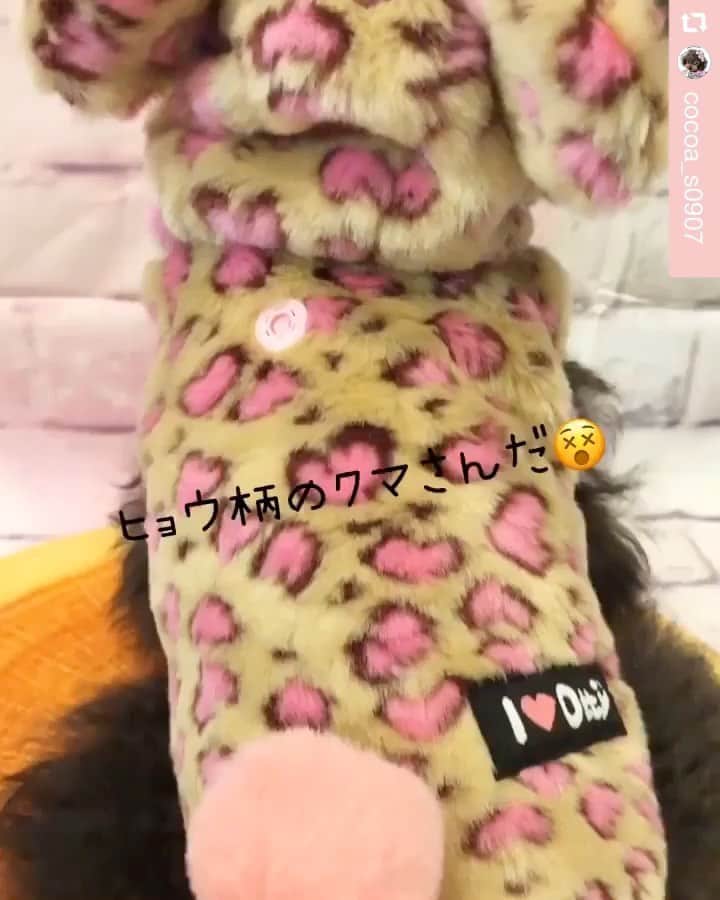 大原かおりのインスタグラム