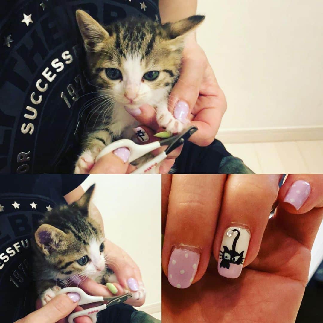 川上麻衣子さんのインスタグラム写真 - (川上麻衣子Instagram)「仔猫の爪切りする私の爪にも猫💓」5月29日 10時50分 - neko_to_kyo