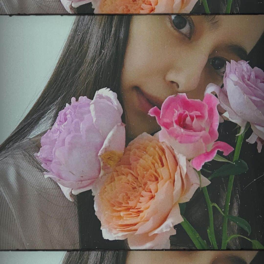 大見謝葉月さんのインスタグラム写真 - (大見謝葉月Instagram)「おはよ〜天気良くて最高💗🧡 #love #flowers #rose #하트  #おうち時間」5月29日 10時52分 - h_a_z_k_i