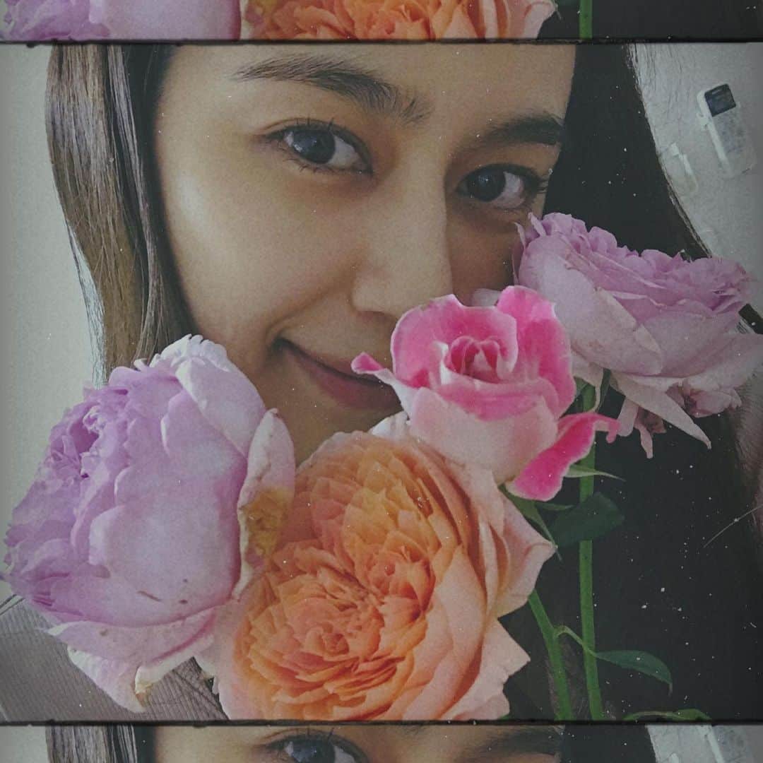 大見謝葉月さんのインスタグラム写真 - (大見謝葉月Instagram)「おはよ〜天気良くて最高💗🧡 #love #flowers #rose #하트  #おうち時間」5月29日 10時52分 - h_a_z_k_i