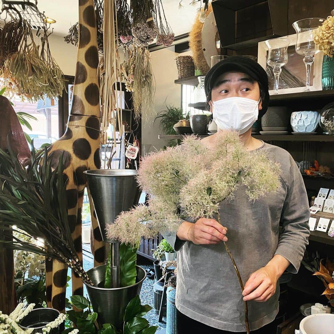 MILLE ECLAT.のグルメインスタ