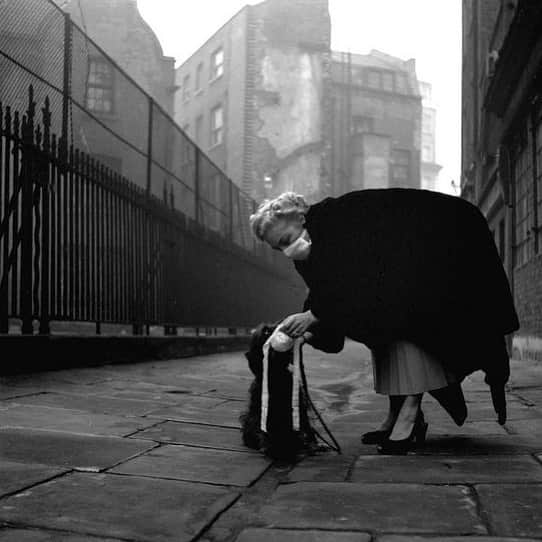 大森美希さんのインスタグラム写真 - (大森美希Instagram)「A woman and her dog both wear masks during the Great Smog of London, 1952  マスクを着ける女性と飼い犬。1952年12月にロンドンで発生したスモッグで1万人以上が亡くなった。  #todaysphoto #mask #masque #photo #monochrome #london #londres #1952 #thegreatsmogoflondon #greatsmogof1952 #grandsmogdelondres #parislife #déconfinement #今日の写真 #ロンドンスモッグ1952 #マスク #犬にもマスク #スモッグ #ロンドン #50年代 #大気汚染 #パリ #パリ生活 #海外生活 #写真 #モノクロ」5月29日 11時19分 - mikiomori_