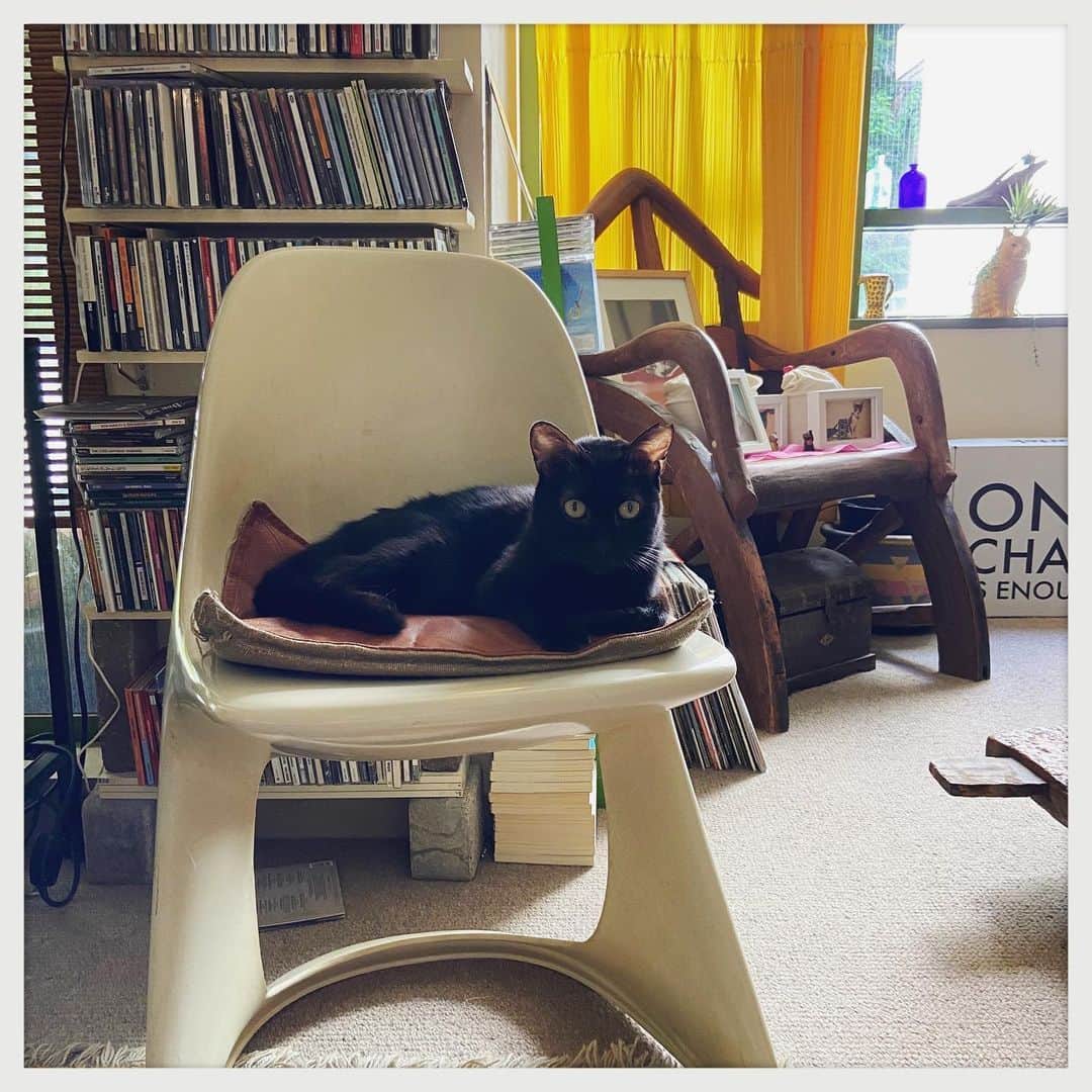 kumikoのインスタグラム：「黒猫はホント可愛い🥰」