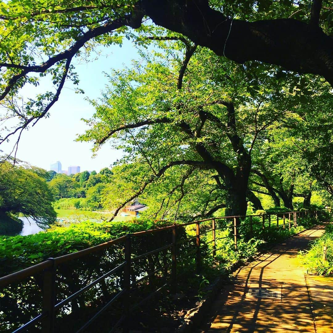 皇居ランナビのインスタグラム：「千鳥ヶ淵緑道の桜もすっかり緑、緑しています。  千鳥ヶ淵ボート場の再開時期はまだ発表されていませんが、手こぎボートって面白いんですよー😆  女子2人で乗ったときも、キャーキャー楽しみながら漕ぎました🥰  懐かしいなー✨  #去年の写真 #皇居 #皇居ランナビ #皇居ラン #皇居ランナー #おもてなしランナー #ランニング #ハシリマスタグラム #running #runner #千鳥ヶ淵緑道 #千鳥ヶ淵ボート場」