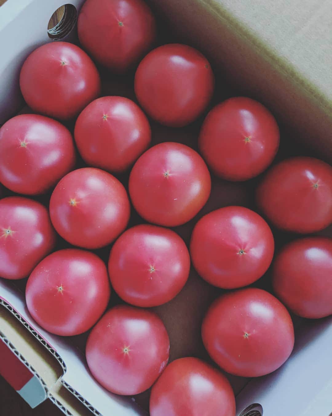 村治佳織さんのインスタグラム写真 - (村治佳織Instagram)「The power of red! The power of tomato🍅！たまには、箱買いも　 いいな！　 トマト🍅のパワー！赤のパワー！  今日は、ブルーインパルスも　 バッチリ見られました！  #アメーラトマト  #高糖度トマト だそうです」5月29日 17時43分 - kaorimurajiofficial
