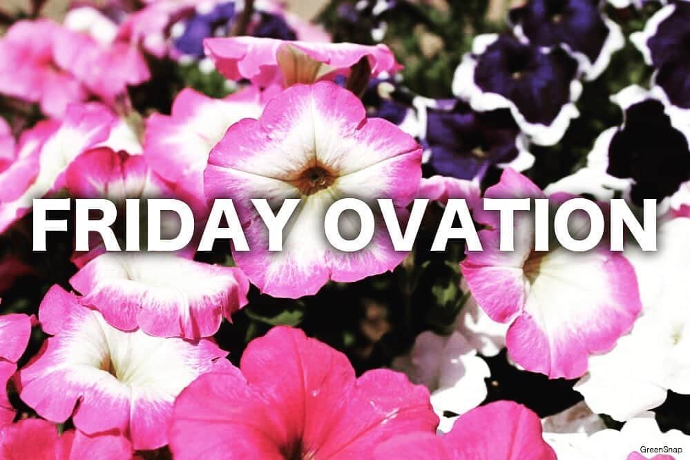 TERUのインスタグラム：「FRIDAY OVATION  敬意と感謝の気持ちを込めて。  ペチュニア 花言葉「心の安らぎ」 少しでも心が休まる時間を過ごせますように。  #fridayovation」