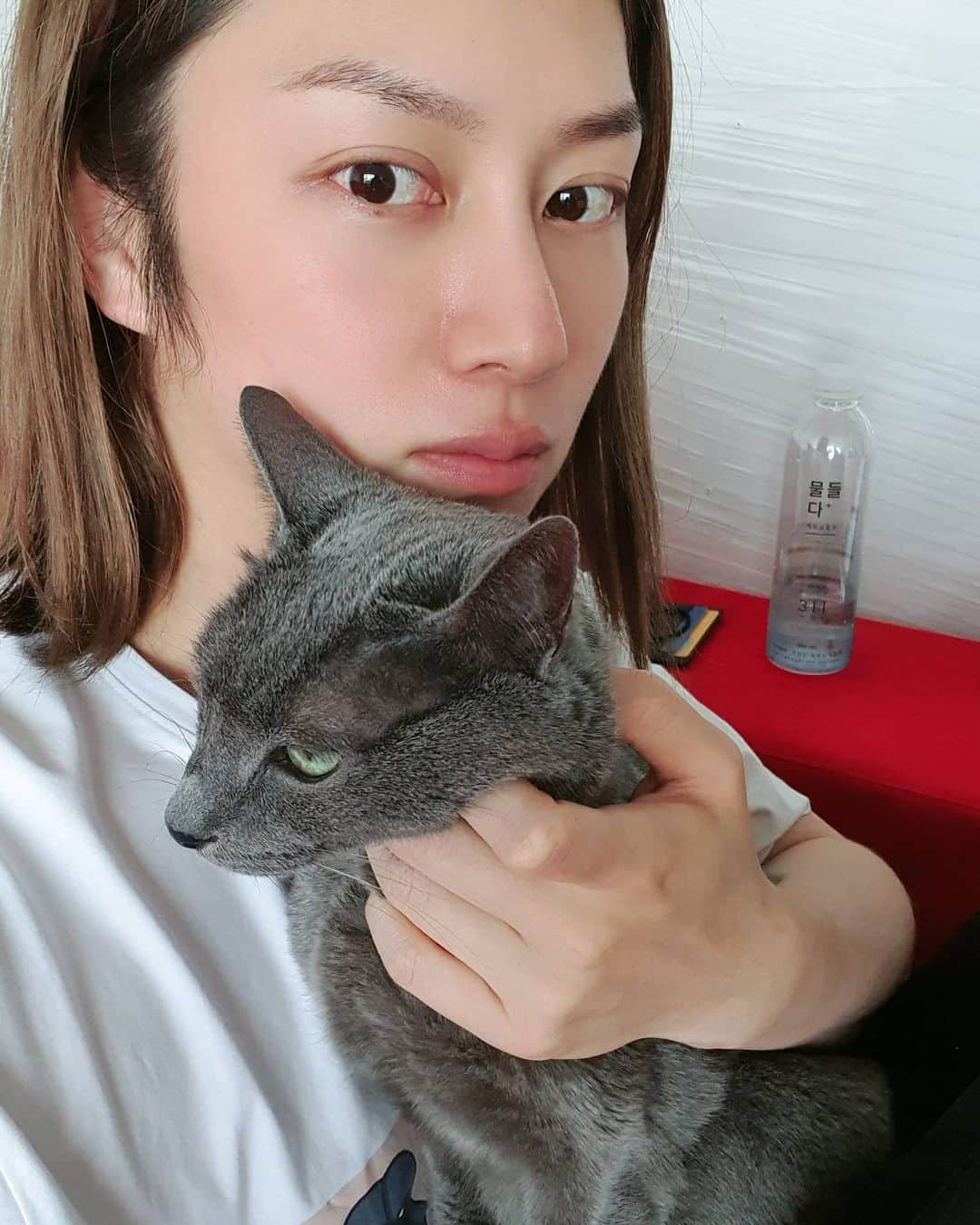 ヒチョルのインスタグラム：「15살 희범이🐱🐈💛 . . #희범 #Heebum #러시안블루 #RussianBlue」