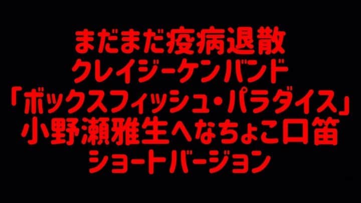 のインスタグラム：「クレイジーケンバンド「ボックスフィッシュ・パラダイス」のギターとへなちょこ口笛による動画のショートバージョンです。 フルバージョンはYouTubeでご覧くださいね。 プロフィール欄からYouTubeチャンネルにリンクしています。 noteに文章も書いておりますのでそちらもよろしくお願いします♫ @onosemasao #クレイジーケンバンド #crazykenband  #ボックスフィッシュパラダイス #boxfishparadise #ハコフグ #小野瀬雅生  #onosemasao  #口笛 #へなちょこ」