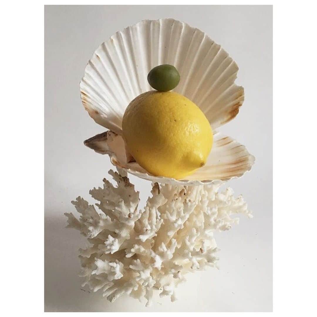 ヴァランティンゴティエさんのインスタグラム写真 - (ヴァランティンゴティエInstagram)「An intuitive and floral artist @ohjosephine 🍋 #stilllife #nature #corals #inspiration #balanceart」5月29日 14時40分 - valentinegauthierofficiel