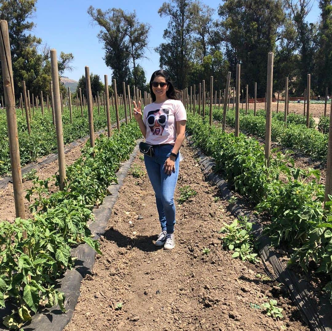 サニー・レオーネさんのインスタグラム写真 - (サニー・レオーネInstagram)「Went to the farm today with @dirrty99 we are now picking our own veggies straight from Mother Earth! :) great day!」5月29日 15時18分 - sunnyleone