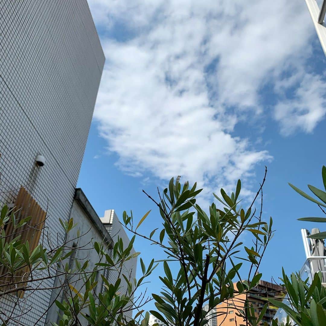 三浦加納子のインスタグラム：「今日はなんて爽やかで気持ちいい日なんだろう😌✨✨ まだまだ気は抜けないけど、今までの少し重かった空気を変えてくれる気がします。  衛生管理には充分配慮した上でご予約もお受けしておりますので、直接LINEにてご連絡お待ちしております✨  @spadic0404」