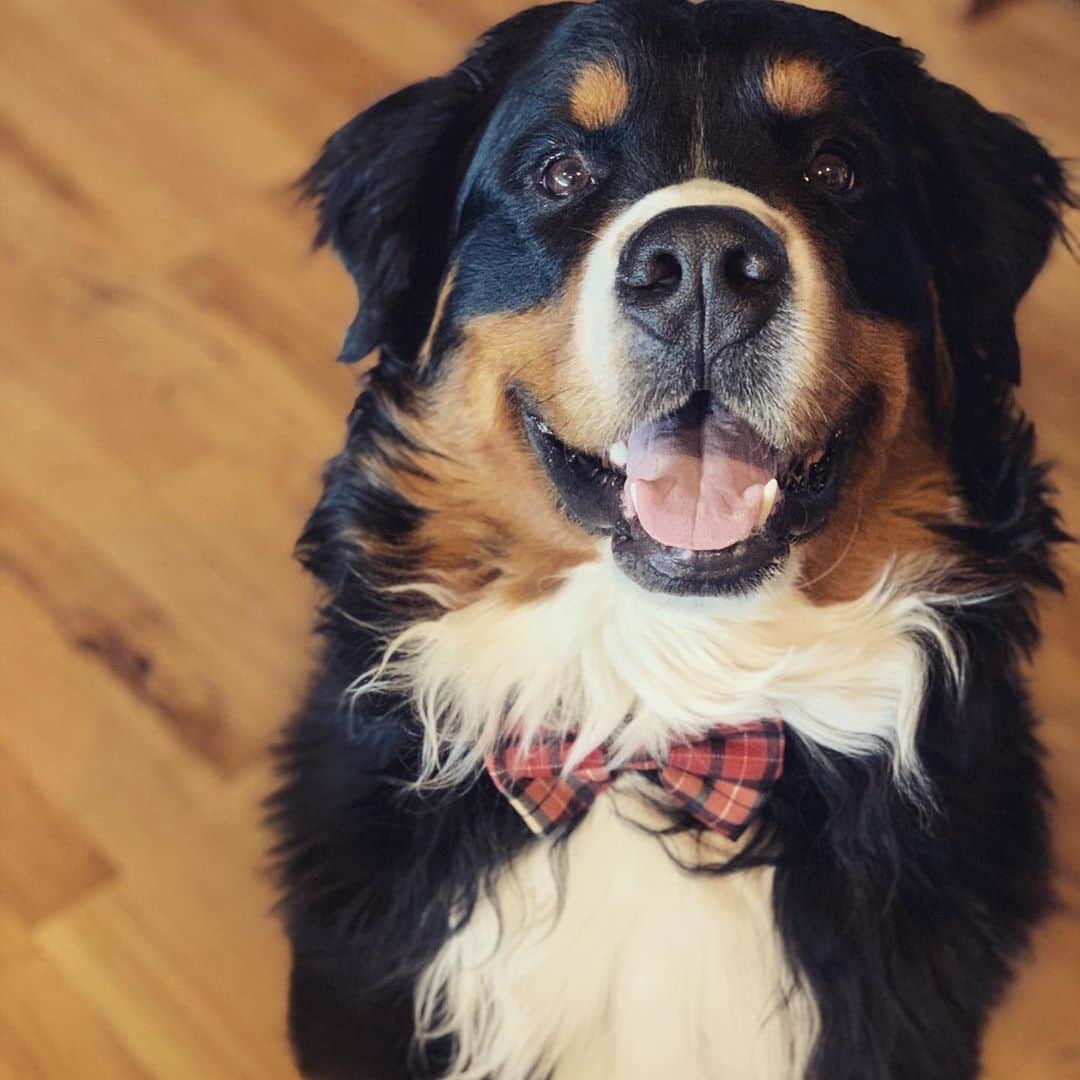 のインスタグラム：「I mean...😍😭」