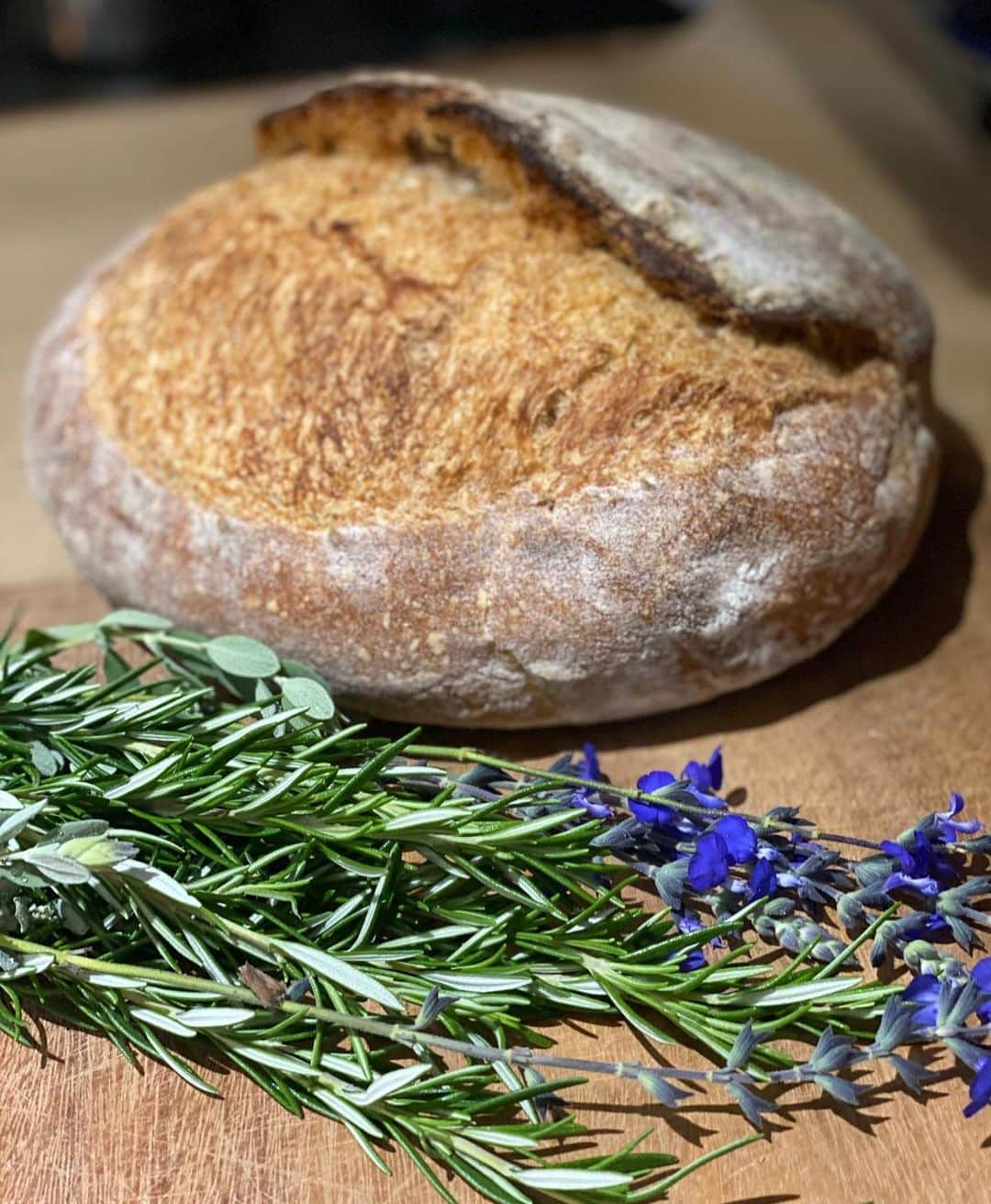 シャナン・ドハーティーさんのインスタグラム写真 - (シャナン・ドハーティーInstagram)「Nothing like receiving fresh homemade baked bread. @kseniastetski thank you! You are the bread master!」5月30日 2時45分 - theshando