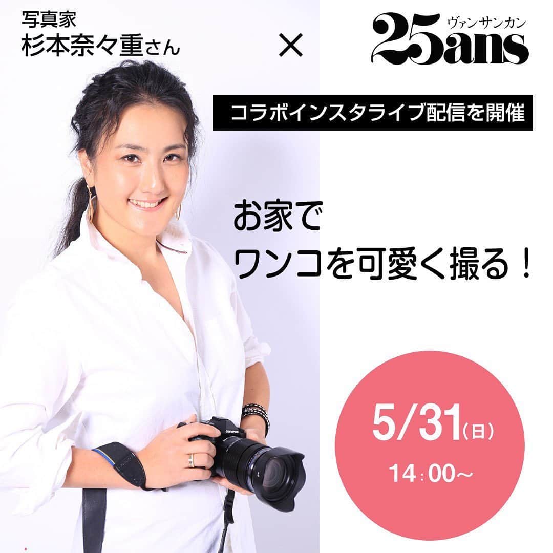 25ans SHOPのインスタグラム：「写真家 杉本奈々重さん @nanaesugimotophotography  とコラボライブ配信を開催します❣️ ワンちゃんをお家で可愛く撮るあれこれを直接うかがえる貴重な機会⭐️ 5月31日（日）14時〜 @25ansjp のアカウントをチェックしてご参加ください😘  #25ans #25ansインスタライブ塾 #25ansエレドッグ」