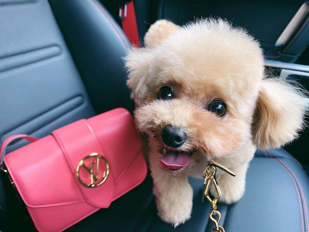 megbabyさんのインスタグラム写真 - (megbabyInstagram)「ドライブ❤️🐶🚗　#LVPONT9 @louisvuitton」5月29日 18時24分 - _megbaby_