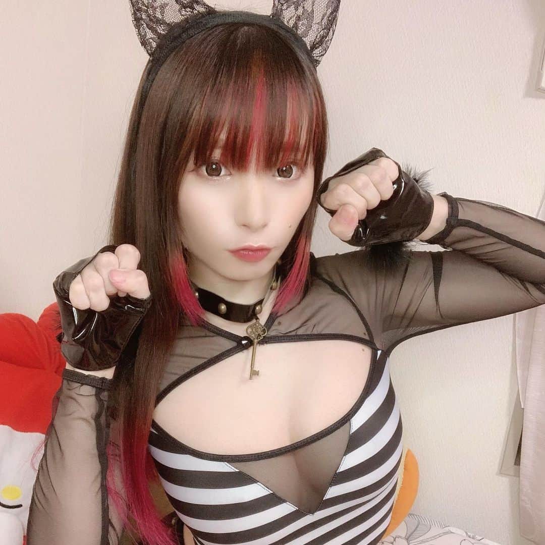 八ツ橋さい子 