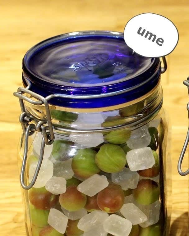 Okaeri Recipe Channelのインスタグラム：「今年は梅ジュースと黒糖梅酒を作りました。 動画はトップページのリンクからどうぞ @okaeri_recipe_channel  #okaerirecipechannel #梅酒 #梅酒作り #梅ジュース #梅シロップ #小梅 #黒糖梅酒 #レシピ動画 #おうち時間」