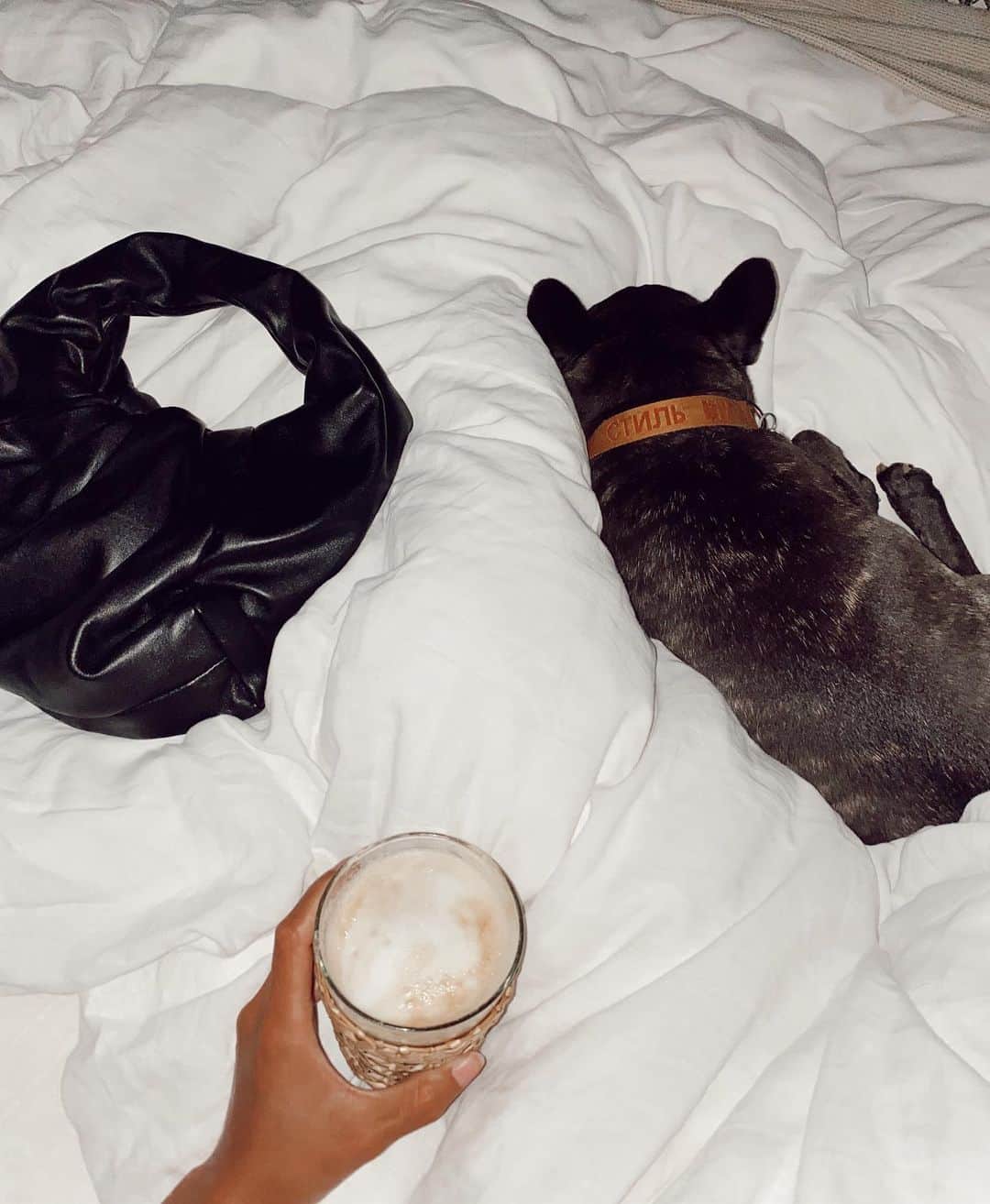 シャニーナ・シャイクのインスタグラム：「Ice coffee , a @bottegaveneta and 🐾」