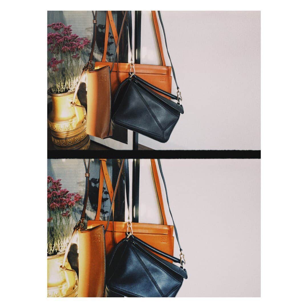 野尻美穂のインスタグラム：「私のLOEWEオールメンバー。 質問もらっててやっとやーっと撮ったよ📸 いつも自分に喝を入れて連れて帰っている、お気に入りたち☺️。 #loewe #bags  #好きなモノ」
