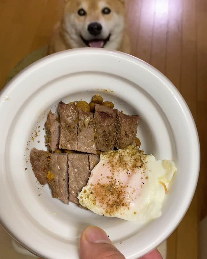 まる（まるたろう）のグルメインスタ