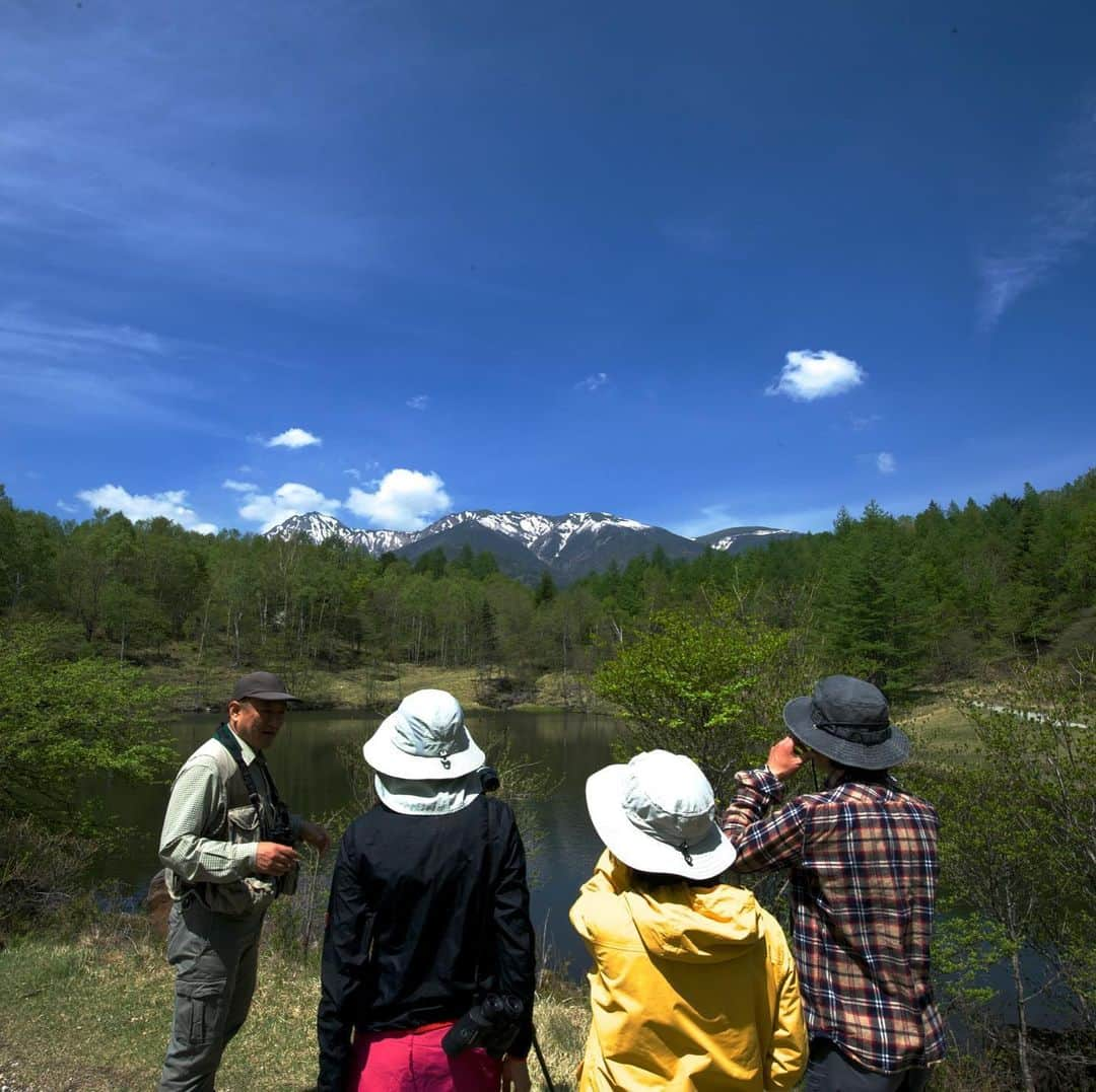 【公式】八ヶ岳高原ロッジ・八ヶ岳高原音楽堂のインスタグラム