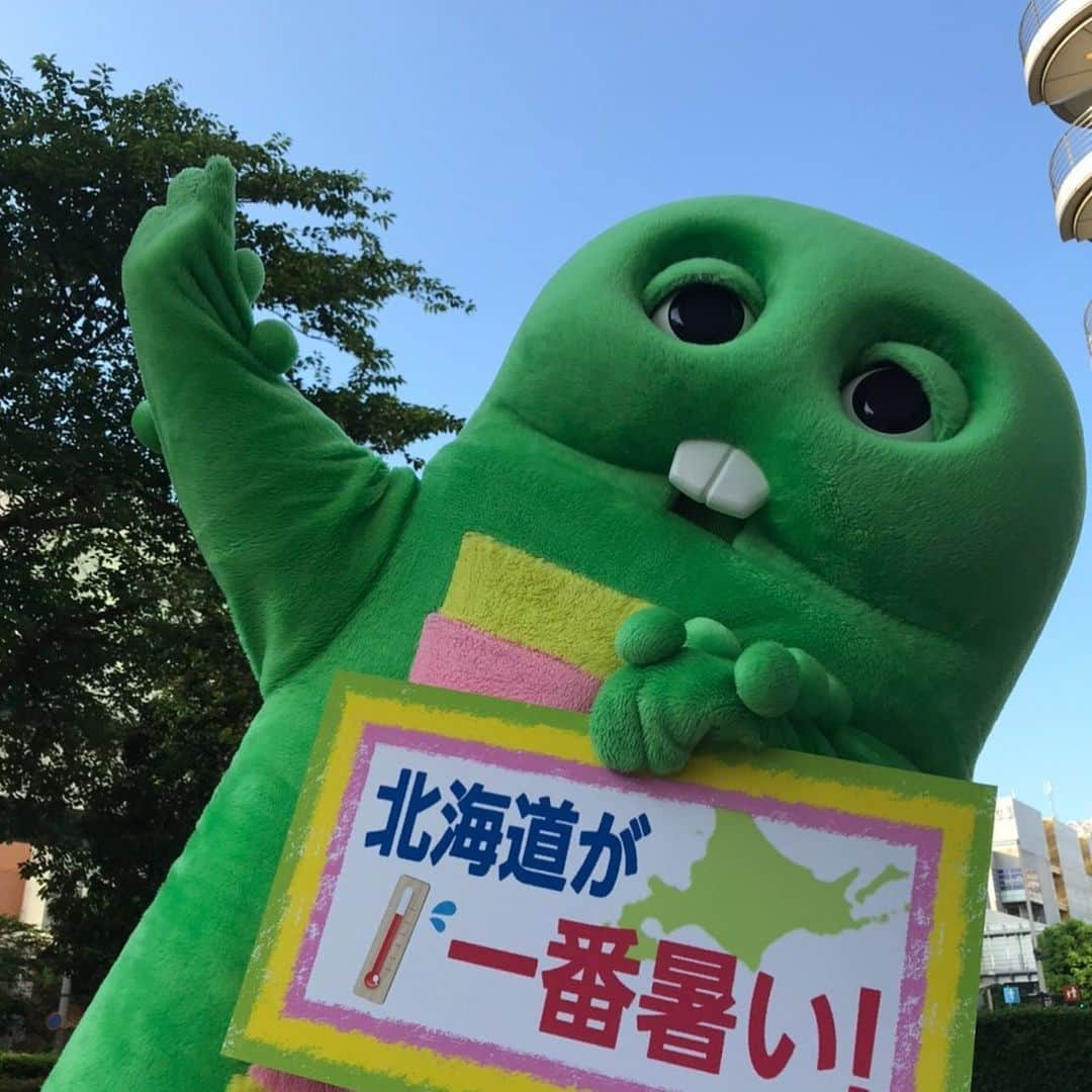 ガチャピンさんのインスタグラム写真 - (ガチャピンInstagram)「明日は北海道が暑い！  #ガチャピン #役に立つ天気 #使える天気」5月29日 20時46分 - gachapin_official