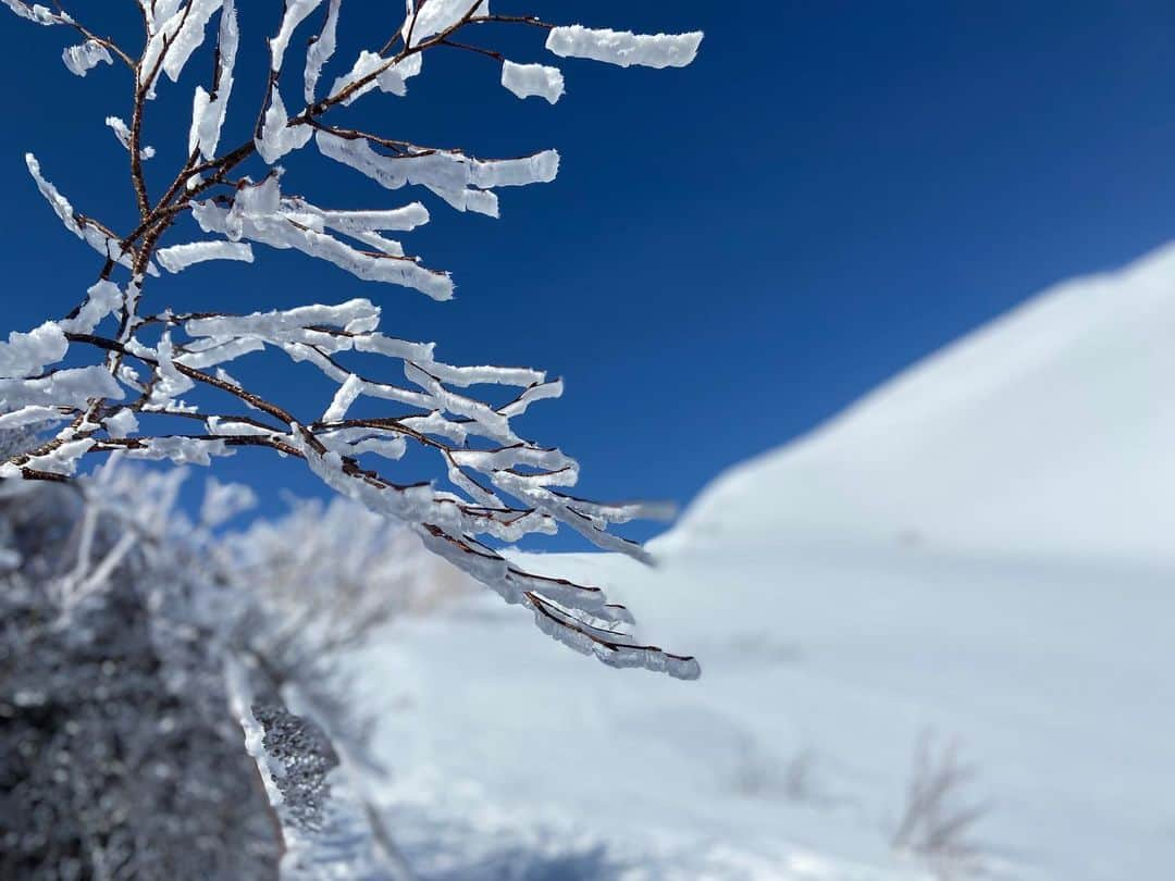 岩本憧子さんのインスタグラム写真 - (岩本憧子Instagram)「. 雪が恋しいですね❄️ . でも夏も楽しみ🌞 . #冬　#夏」5月29日 21時25分 - akoiwamoto