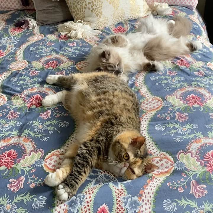 Tinaのインスタグラム：「Friday energy 🤣」