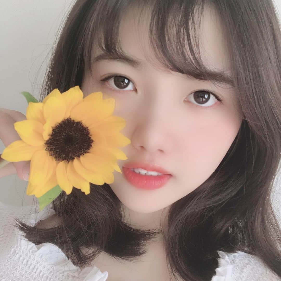 瀬戸初夏さんのインスタグラム写真 瀬戸初夏instagram でもね 夏の花は向日葵だけじゃないよね 5月29日 22時02分 Seto Uika