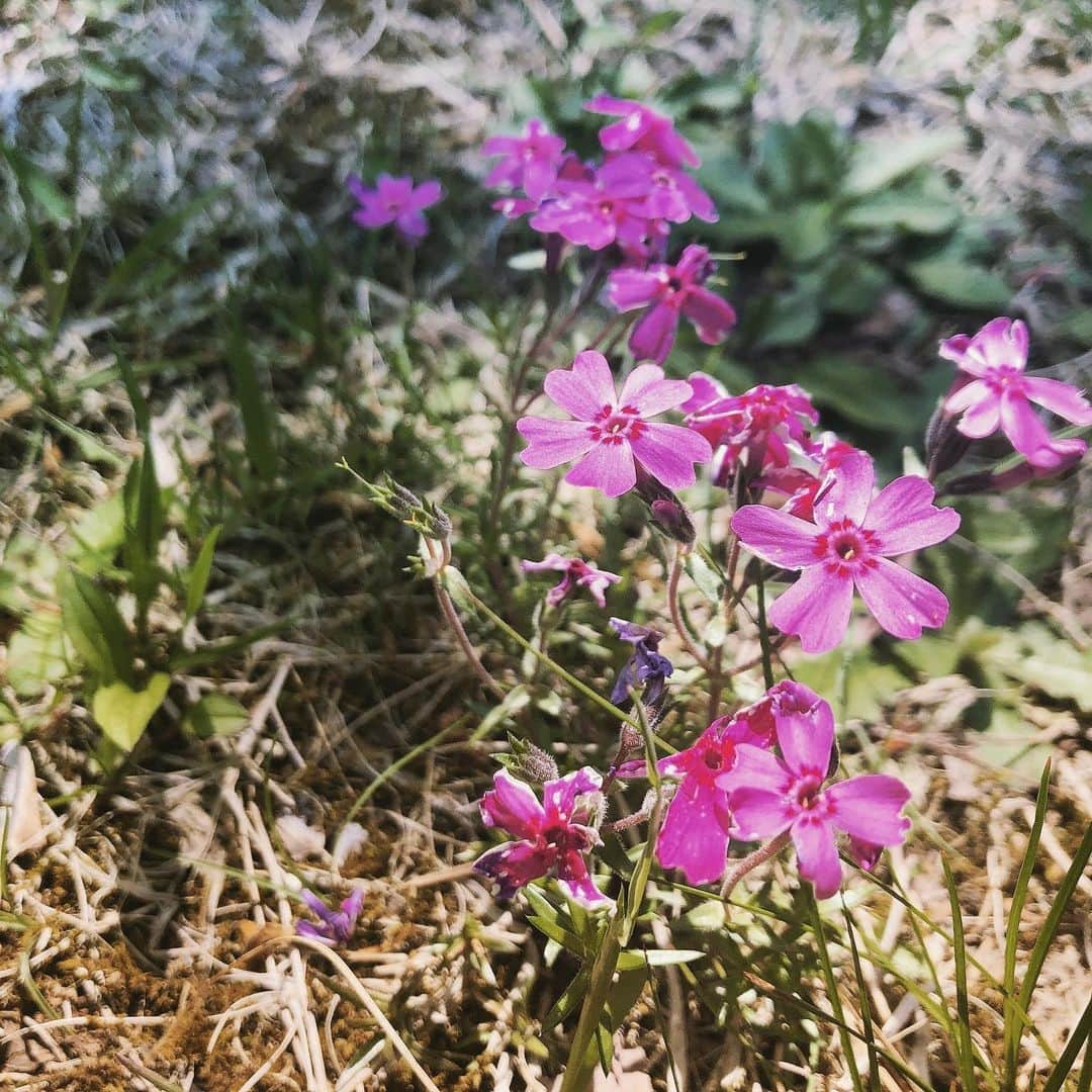 脇田唯のグルメインスタ