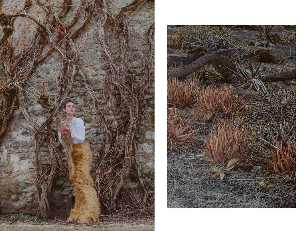 ライカさんのインスタグラム写真 - (ライカInstagram)「The castle of the five ladies. At Chenonceau with photogrpaher Letizia Le Fur (@letizialefur). Shot on #LeicaSL2. Learn more about the photographer and her project through our Bio Link.  #Leica #LeicaCamera #🔴📷 #itsyourchoice Location: @chateau_chenonceau」5月29日 23時11分 - leica_camera