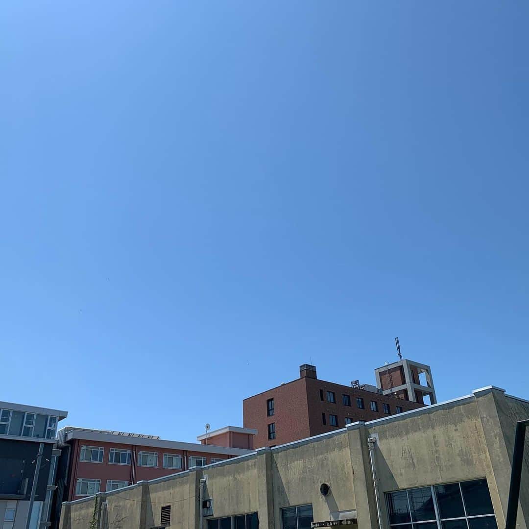 大隅智子さんのインスタグラム写真 - (大隅智子Instagram)「きょうの岩手は、文句なしの晴れでした！ こんなに穏やかで、空気の清々しさは、一年の中でそんなに多くありません。 すごく気持ち良かったです。 #岩手　#盛岡　#五月晴れ」5月29日 23時22分 - tomokotenki